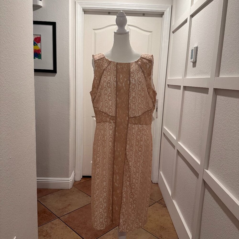 NWT Preston & York  Lace Sheath Lined Dress Soft Harmony Pink Size 14
